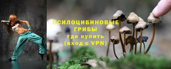 крисы Братск