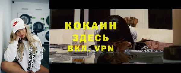 молекула духа Краснослободск