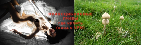 apvp Кукмор