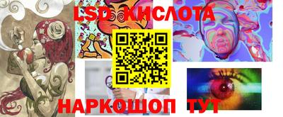 стаф Гатчина