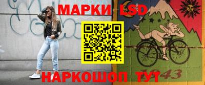 стаф Гай