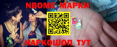 стаф Гатчина