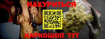 стаф Гатчина