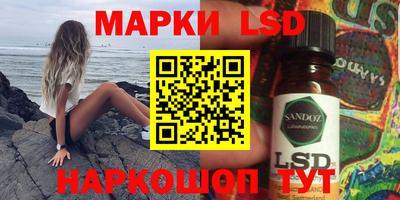 стаф Гатчина