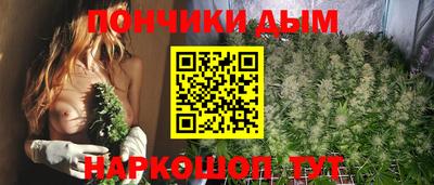 шишки Балахна