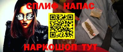 стаф Гатчина