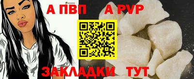 стаф Гай