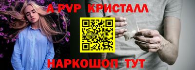 стаф Гатчина