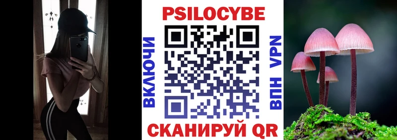 где можно купить   Красноярск  Псилоцибиновые грибы мухоморы 