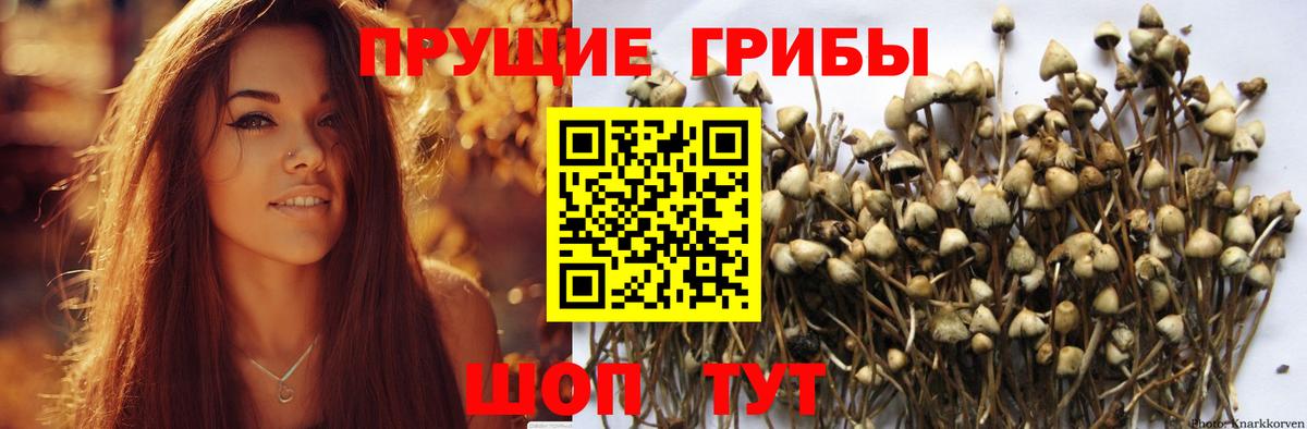 Псилоцибиновые грибы мухоморы Красноярск