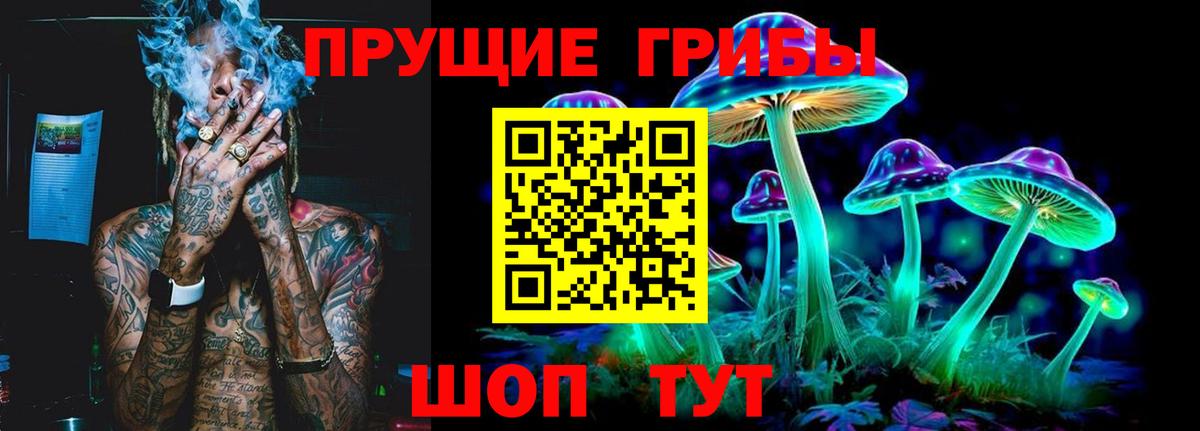 Псилоцибиновые грибы Psilocybe Красноярск
