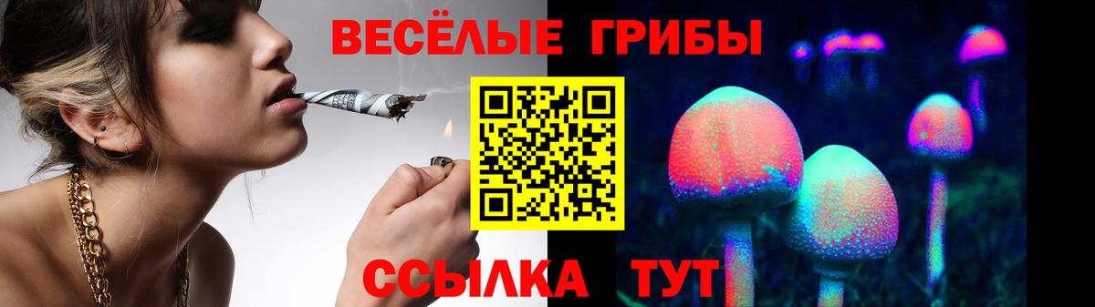 Красноярск  Псилоцибиновые грибы ЛСД  Вход с VPN 